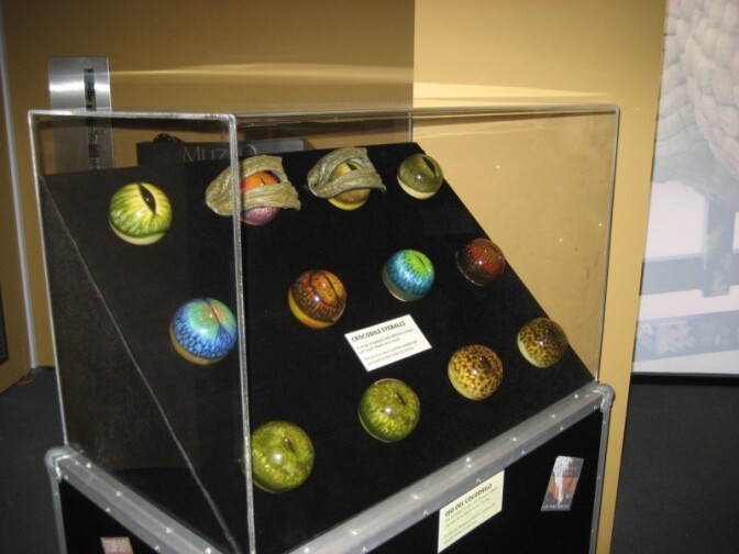 Movie monsters need eyeballs. These are the eyeballs used by the crocodile in the 2003 movie, "Peter Pan."