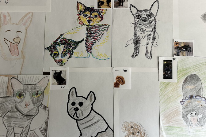 Hand-drawn portraits of dogs and cats in colored pencil and marker next to small reference photos of the pets.