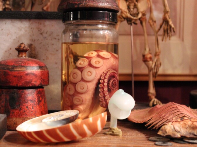 A tentacle in a jar. 