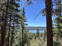 A forest view, with trees towering over the dirt and a blue lake in the distance.