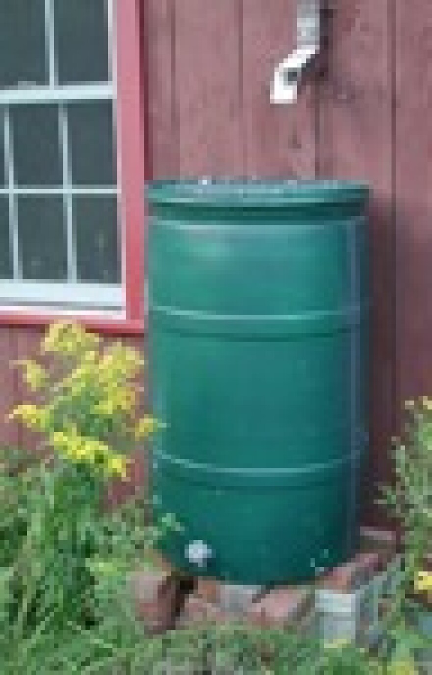 rain-barrel-la.jpg
