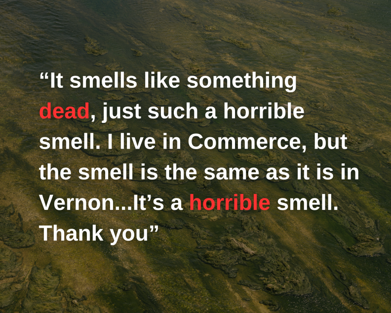 Quote card reads: It smells like something dead, just such a horrible smell. I love in Commerce, but the smell is the same as it is in Vernon... It's a horrible smell. Thank you.