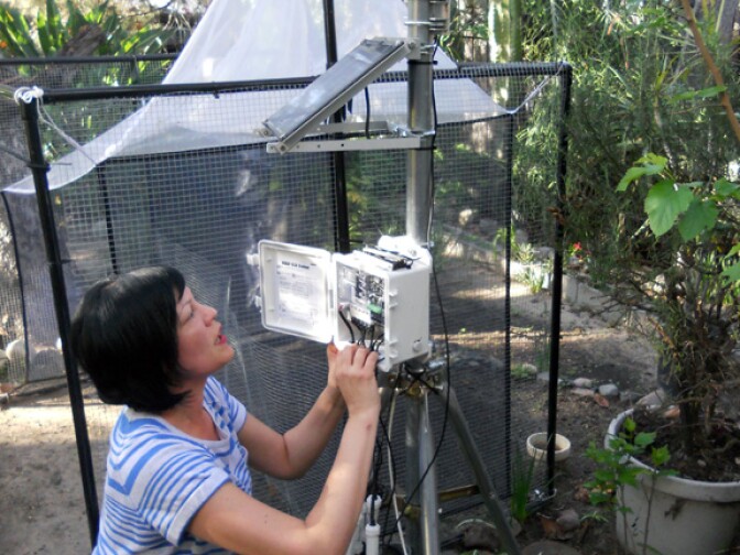 Natural History Museum entomologist Lisa Gonzalez adjusting a trap near the L.A. River in the backyard of study participant John Rodriguez. 
