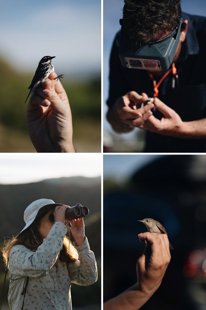 A bird watcher, bottom left, and a volunteer, top right, watch and inspect the wildlife at Bear Divide.