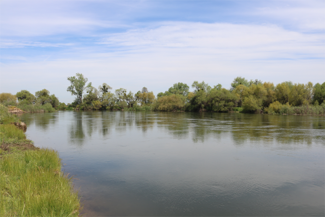 A wide, calm river on a partly-cloudy, but sunny day. The riverbank is flush with green grass, trees, and shrubs.