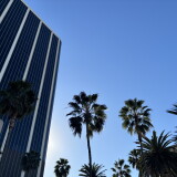 A glass front high rise has a row of palm trees out front.