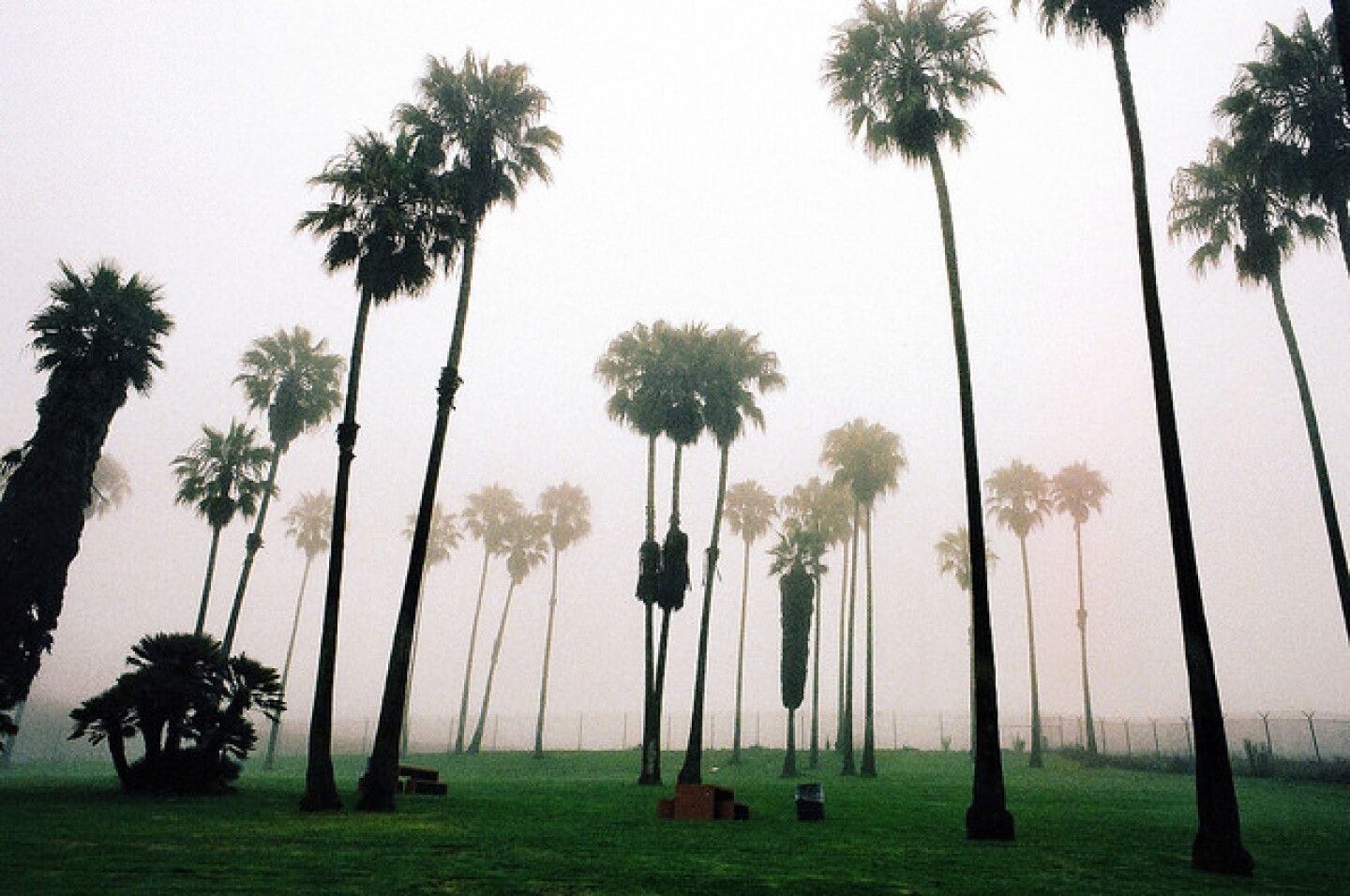 june_gloom.jpg