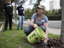 Rachel Malarich, forestry senior manager for Tree People, demonstrates how to water a tree during one of Tree People's urban forestry volunteer events at Cheviot Hills Park on Friday morning, June 5, 2015. The "urban" trees at the park are stressed. Malarich says that could be because the trees aren't getting enough water.