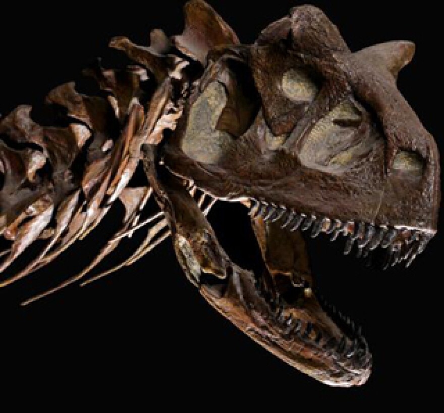 trexNHMdinohall.jpg