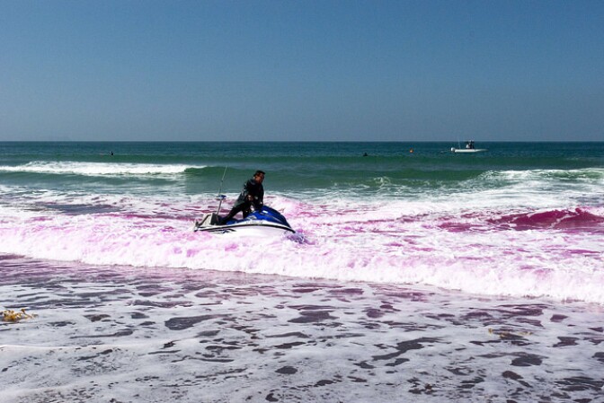 During the 2015 Cross Surfzone/Inner-shelf Dye Exchange (CSIDE) project, researchers release non-toxic bright pink fluorescent dye into beach waters and track its movements along the coast. Two other dye releases will happen before Oct. 17. 