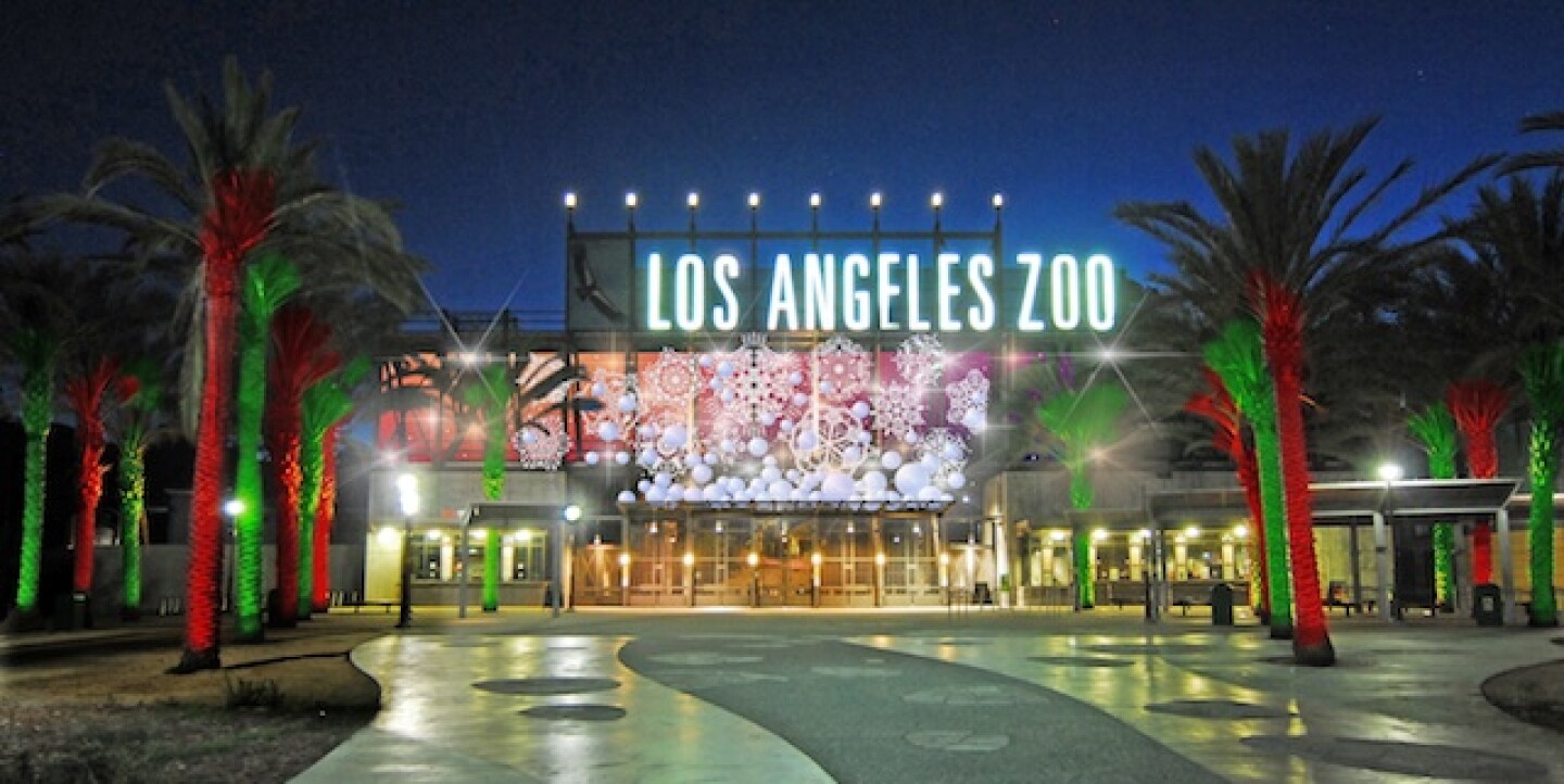 la-zoo-lights.jpg