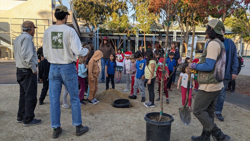 Adults and children stand around young trees, looking at a hole in the ground.