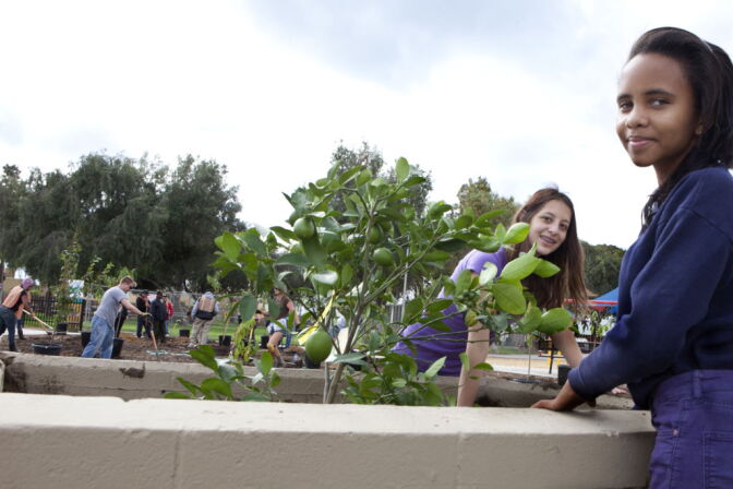 Kids plant lemon trees at the Del Aire Public Fruit Park in Southern California.