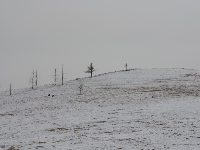 Climate change and overgrazing have contributed to a degradation of Mongolia's pastureland. The national livestock count is above 66 million, a record high. The result: More animals are subsisting on less land.