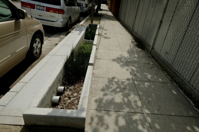 An image of a sidewalk with a curb cut that has mulch and plants. 