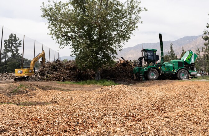 A pile of wood chips surrounds a tree. Heavy equipment works on piles of wood.