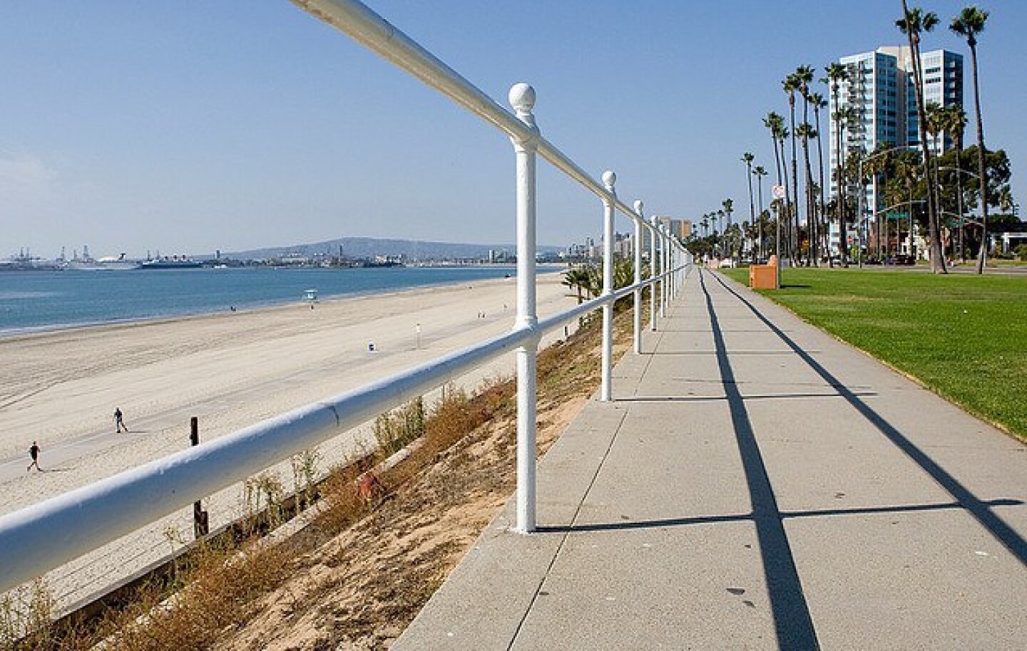 bluff-park-longbeach.jpg