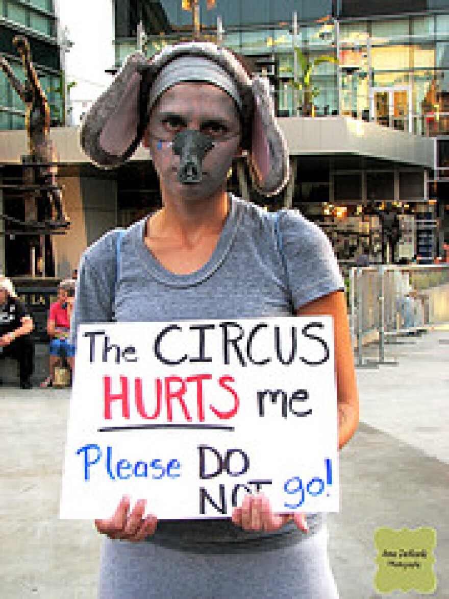 circus-protest.jpg