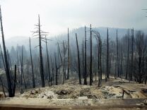 This Oct. 30, 2003 file photo shows a view from a burned out home showing a pine tree forest and homes which were consumed by the Old Fire as it roared through the community of Cedar Glen in Lake Arrowhead, Calif. A grand jury indicted Rickie Fowler on Tuesday Oct. 20, 2009, on five counts of murder for this 2003 wildfire in Southern California that destroyed about 1,000 homes and was linked to a half-dozen heart attack deaths.