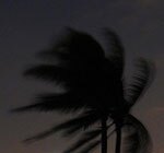 5b2c57644488b3000927f116-original.jpg