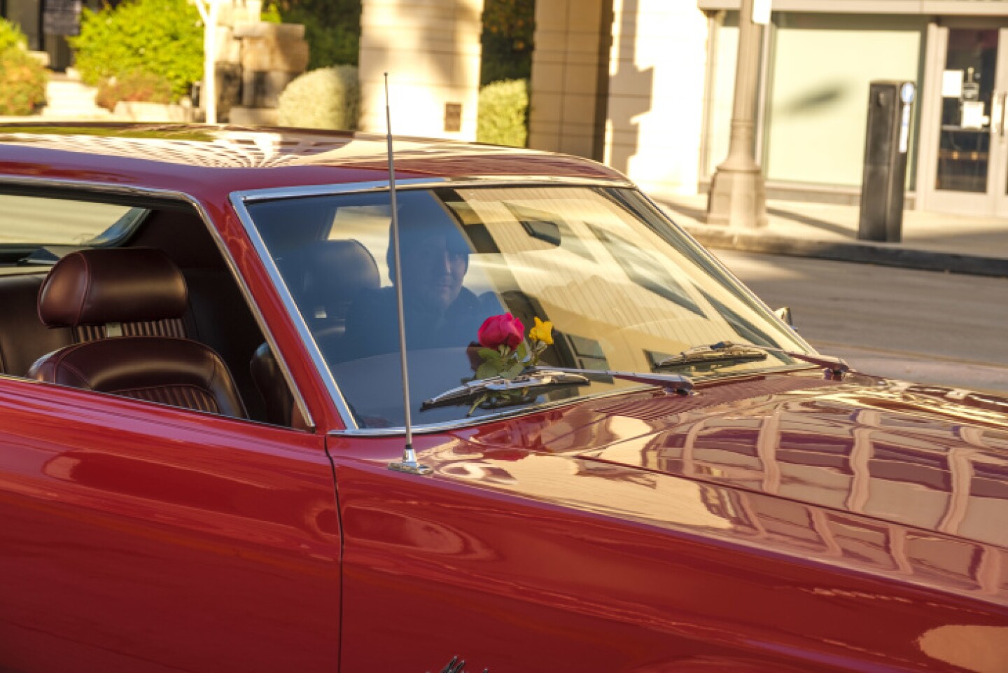 5fef69a13d7c92000901ab72-eight.jpg