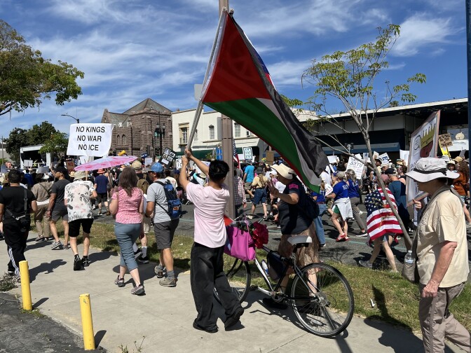 A crowd of protesters march on the sidewalk and the street in Pasadena. Many of them carry signs and flags.