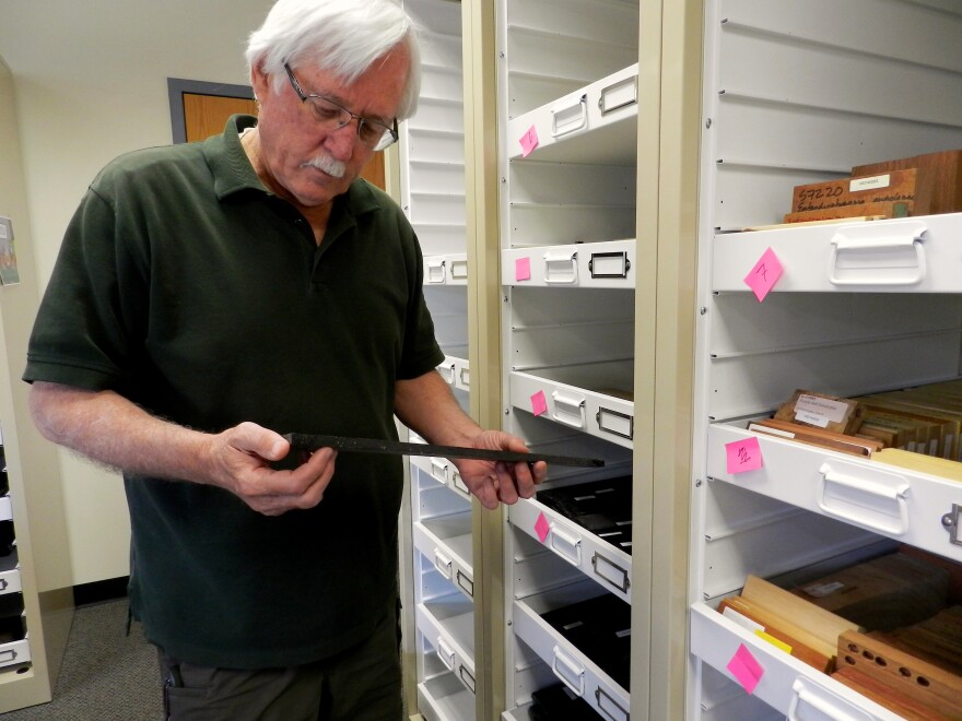 U.S. Fish and Wildlife Forensics Lab Director Ken Goddard holds a wood sample used in the lab's forensic work in Ashland, Ore.