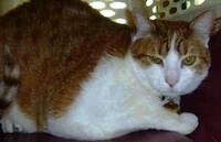 5b2c4ca54488b3000927ad26-original.jpg