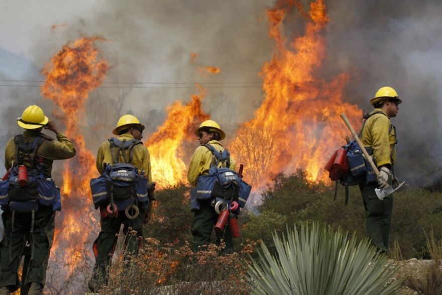 U.S. Forest Service firefighters stand near flames at the Williams fire in the Angeles National Forest on Sept. 4, 2012 north of Glendora.