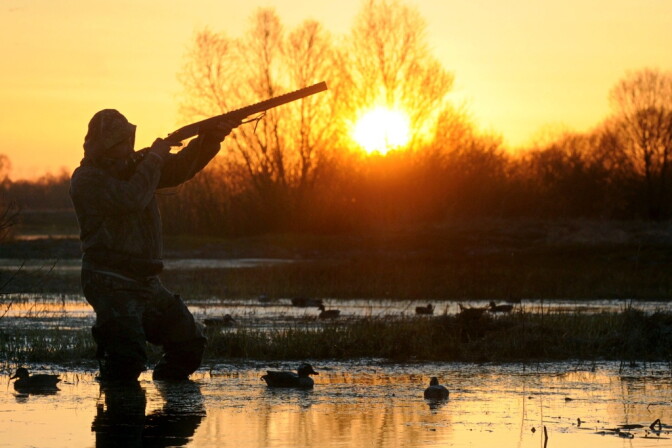 A hunter aims and prepares to shoot a wild duck on Pripyat's river, not far from the village of Veresnitsa, some 260 km south of Minsk on April 5, 2014. AFP PHOTO / VIKTOR DRACHEV