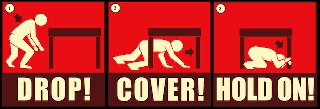 great-shakeout-2010.jpg