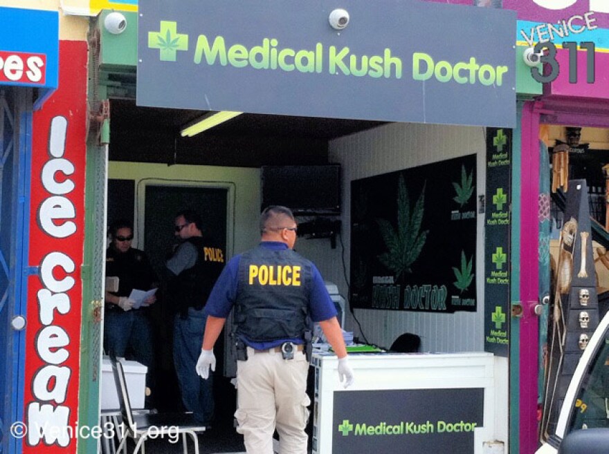 kushdoctor.jpg