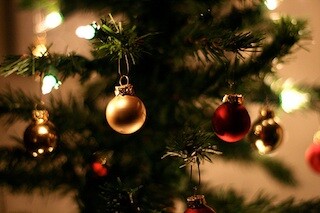 christmas-tree-branches.jpg