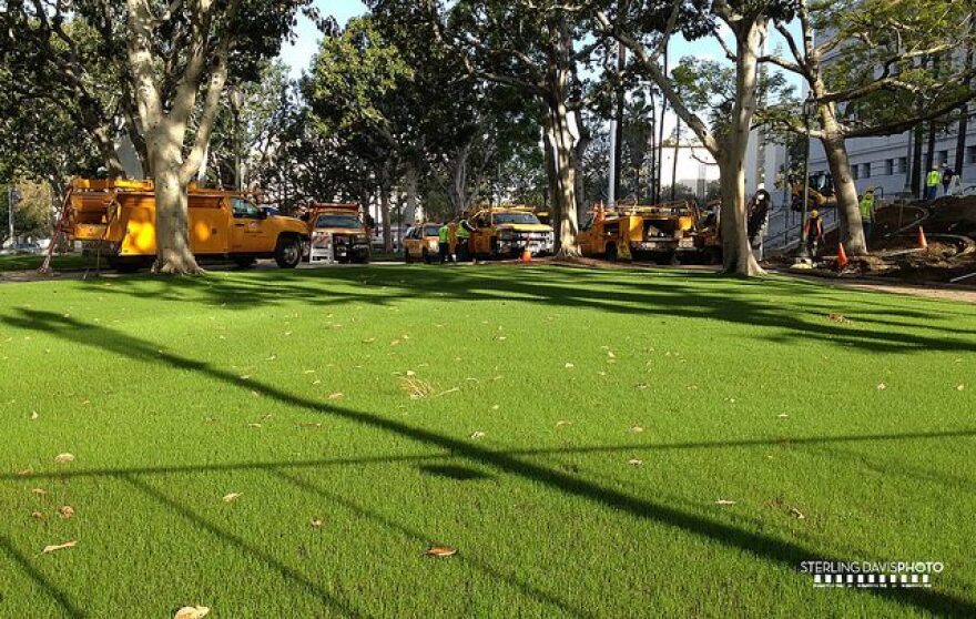 new-city-hall-lawn-march2012.jpg