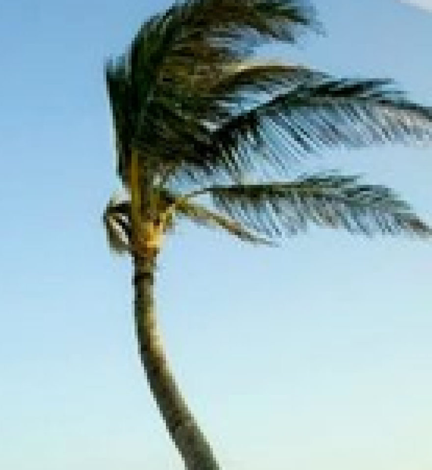 windplam.png