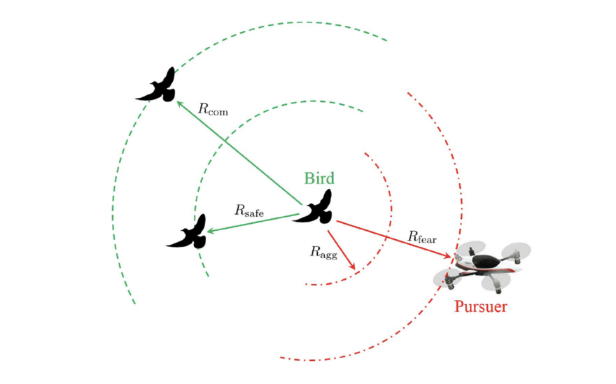 Schematic shows distance of drone from birds.