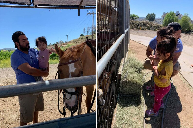 Side-by-side photos show the Rodriguez family interacting with horses