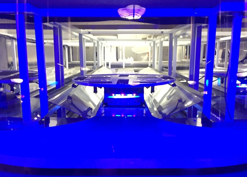 Even if the table is not directly served by one of the robots they will zoom during the dining experience throughout the restaurant.
