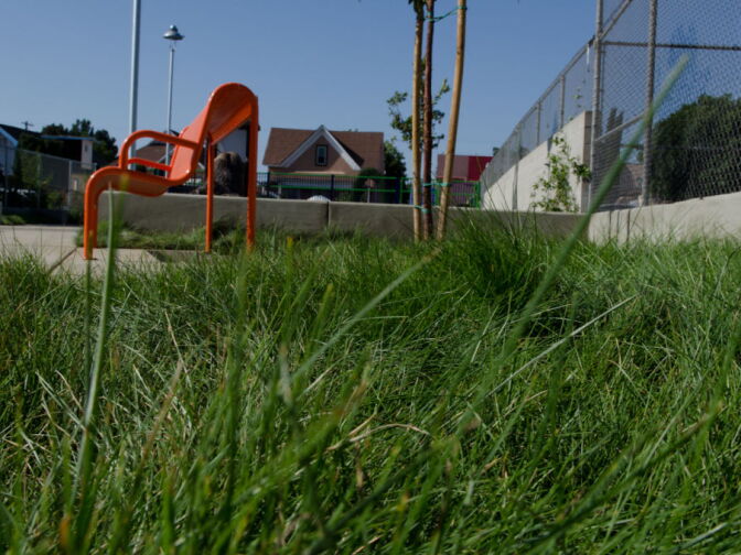 Native plants and grass are watered with an irrigation system.