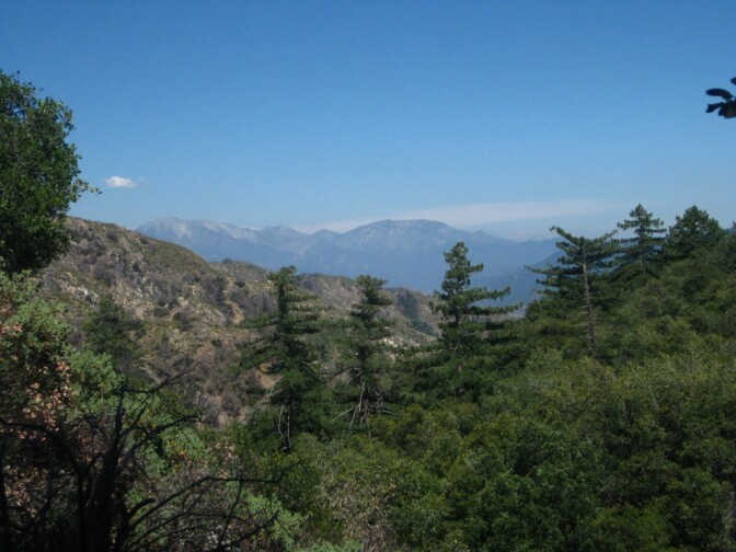 A view of the Angeles National Forest.