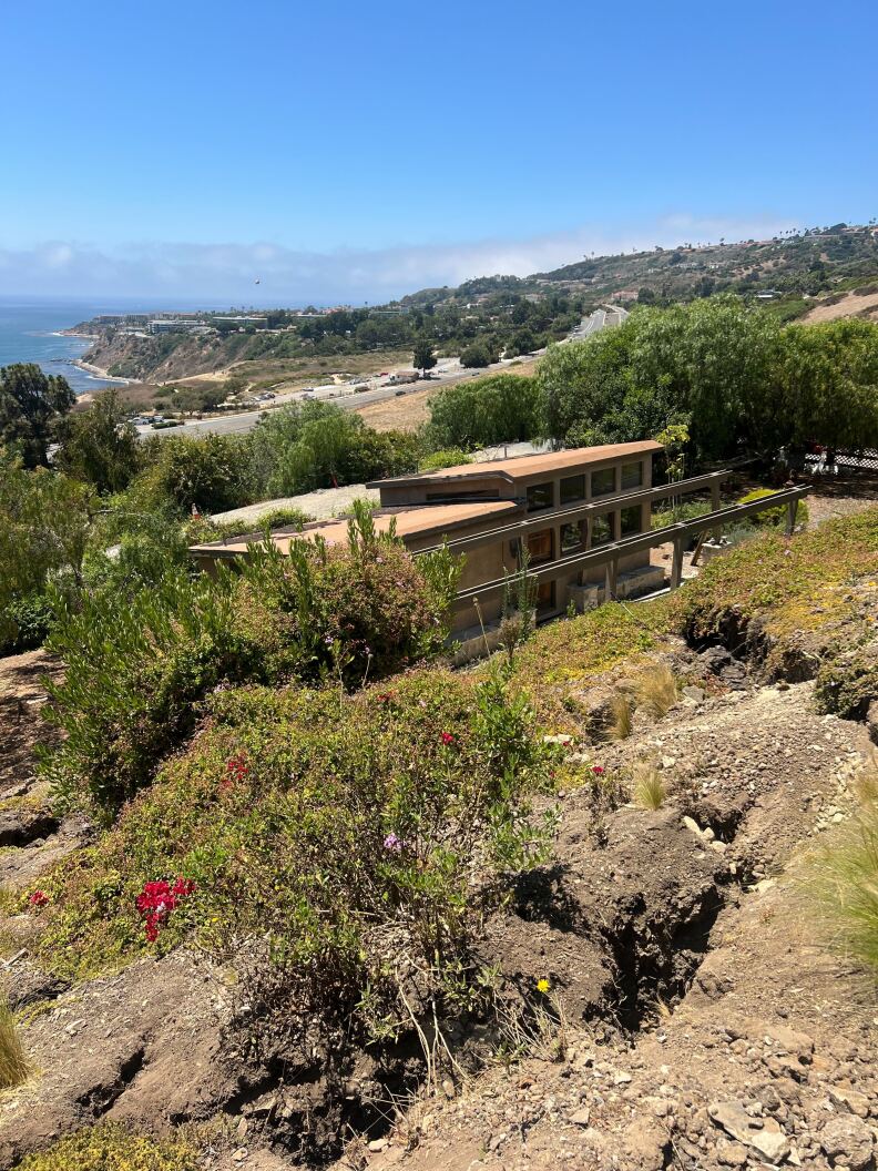 Fissures can be seen in the dirt on a hillside.