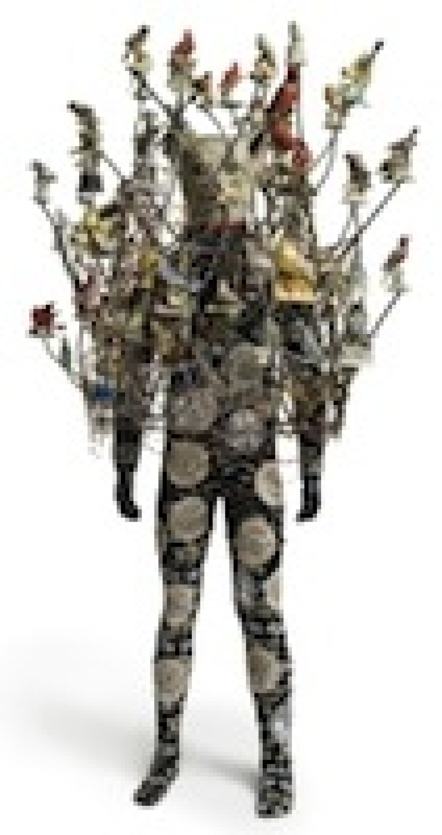 Nick_Cave--_Birds-_Soundsuit_-_credit_James_Prinz-c.jpg