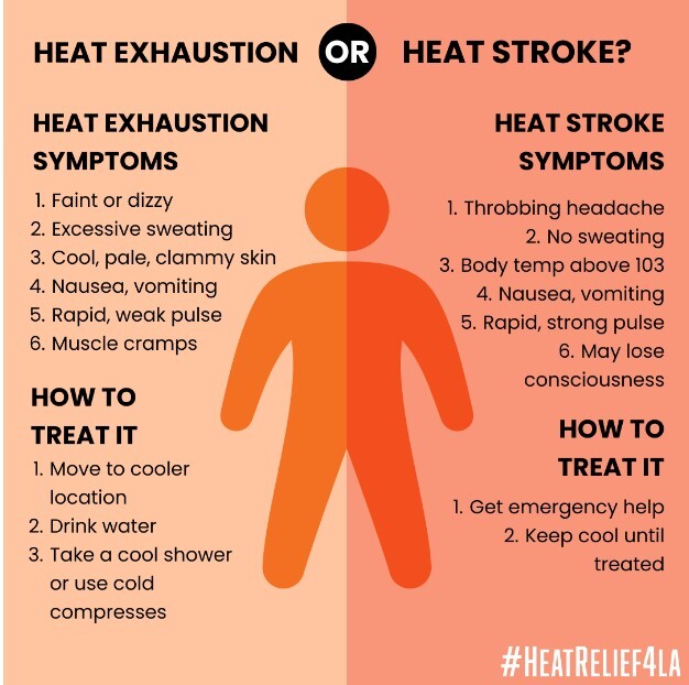 A list of symptoms lay out the difference between heat exhaustion and heat stroke. It lists what the story mentions, including how to treat it.