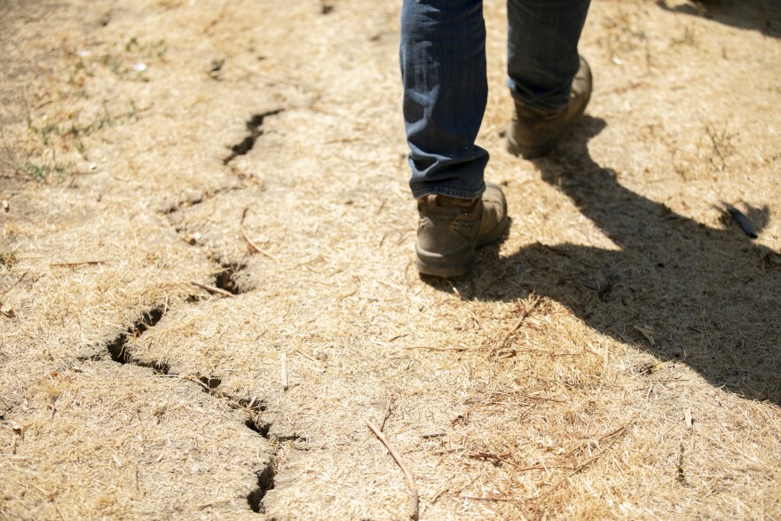 Someone in brown boots walks on dry, cracked ground.