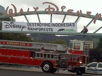 Rainforest protesters at Walt Disney Studios in Burbank.