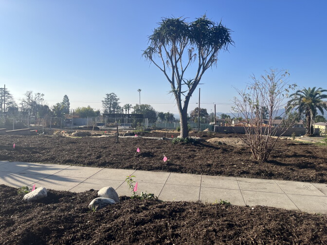 A wide shot of a fire-scarred property with mulch on top of it. 