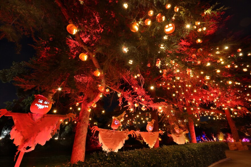 An outdoor display of pumpkins and lights.