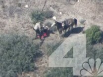 A screenshot from NBC video shows two sheriff's deputies attacking a man who had led them on a car chase before stealing a horse. 