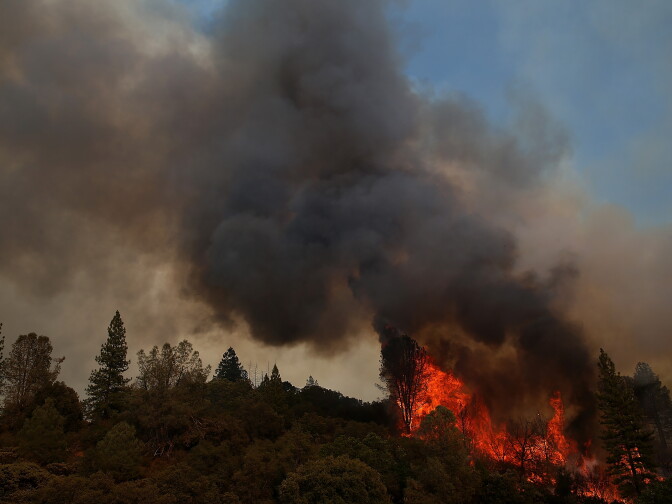 GROVELAND, CA - AUGUST 21:  Fire consumes trees along US highway 120 as the Rim Fire burns out of control on August 21, 2013 in Groveland, California. The Rim Fire continues to burn out of control and threatens 2,500 homes outside of Yosemite National Park. Over 400 firefighters are battling the blaze that is only 5 percent contained.  (Photo by Justin Sullivan/Getty Images)