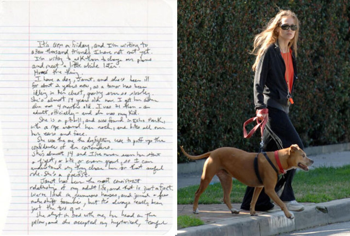 2012_11_fionadog.jpg
